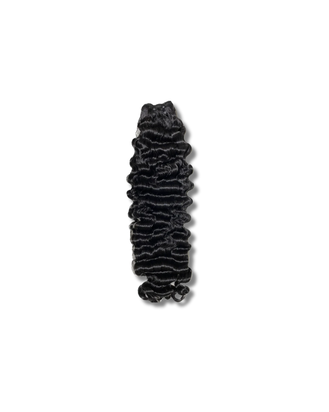 BUNDLES (Birman) BURMESE CURLY